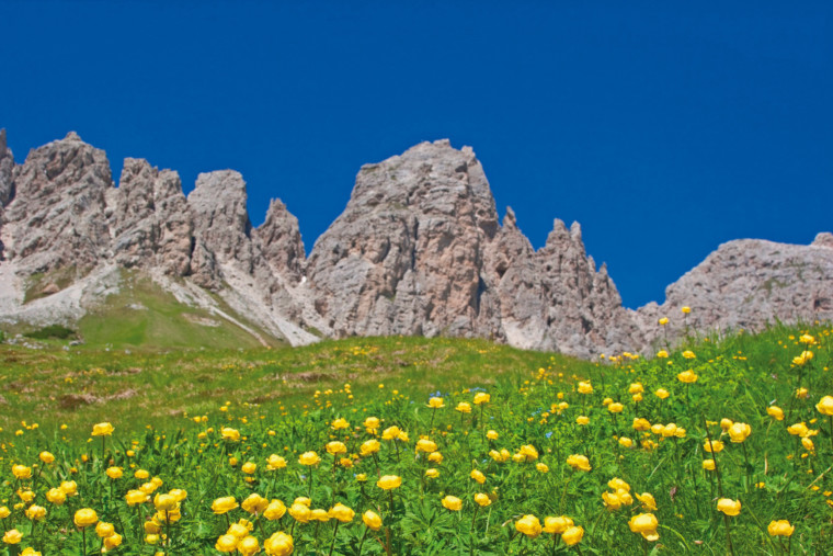 ITALIEN – TRENTINO ab € 199,-